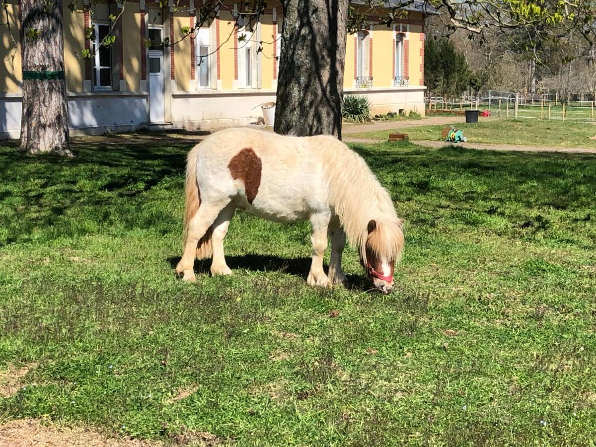 Gite Du Campagnard Du Chateau De La Bouchatte Chazemais Ngoại thất bức ảnh