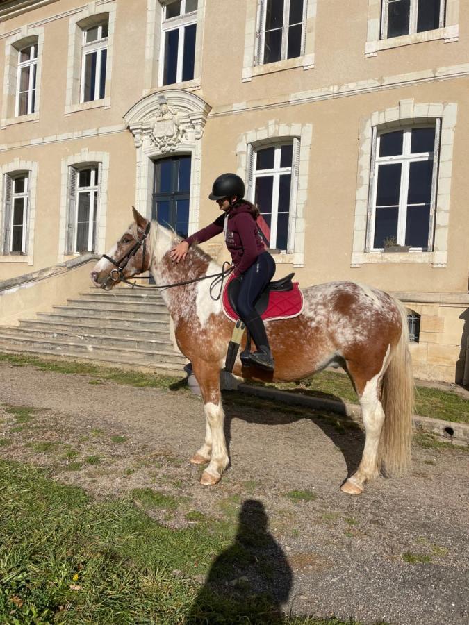 Gite Du Campagnard Du Chateau De La Bouchatte Chazemais Ngoại thất bức ảnh